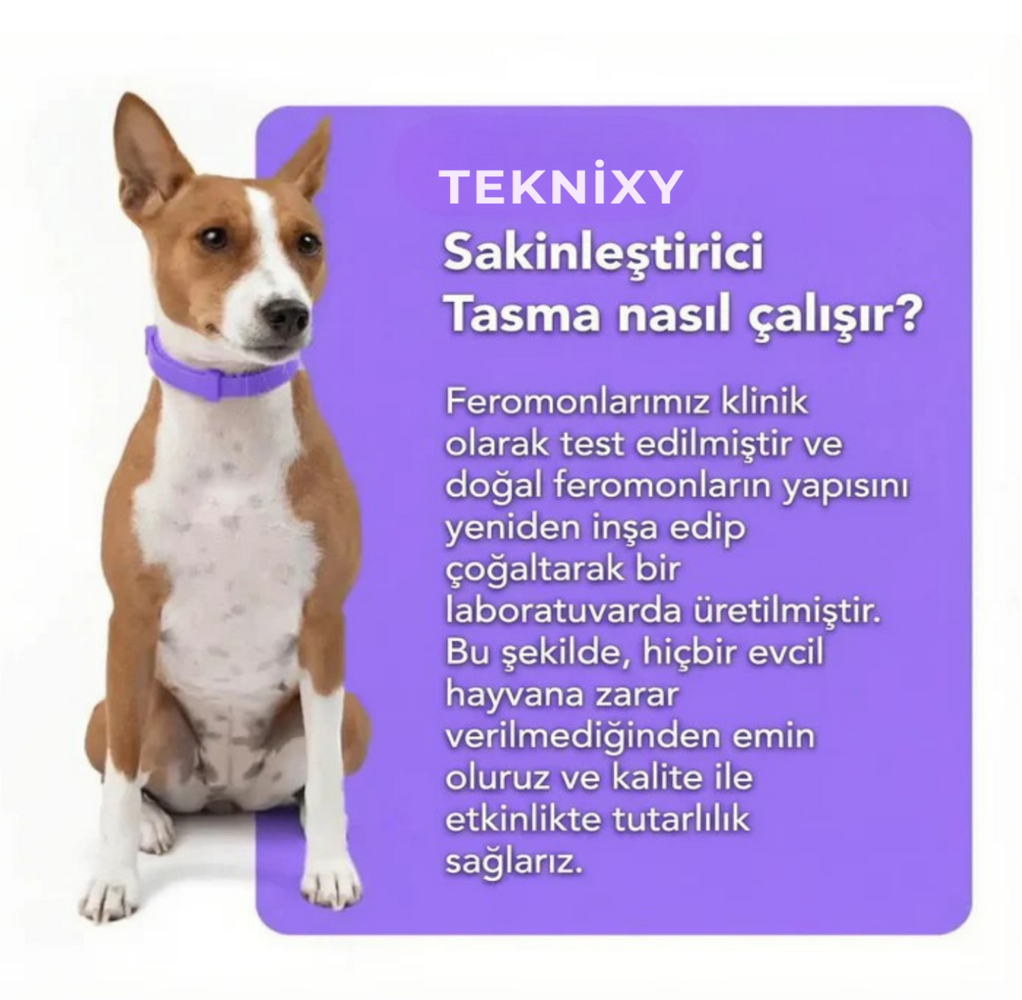 TEKNIXY™ Sakinleştirici Feromon Tasma