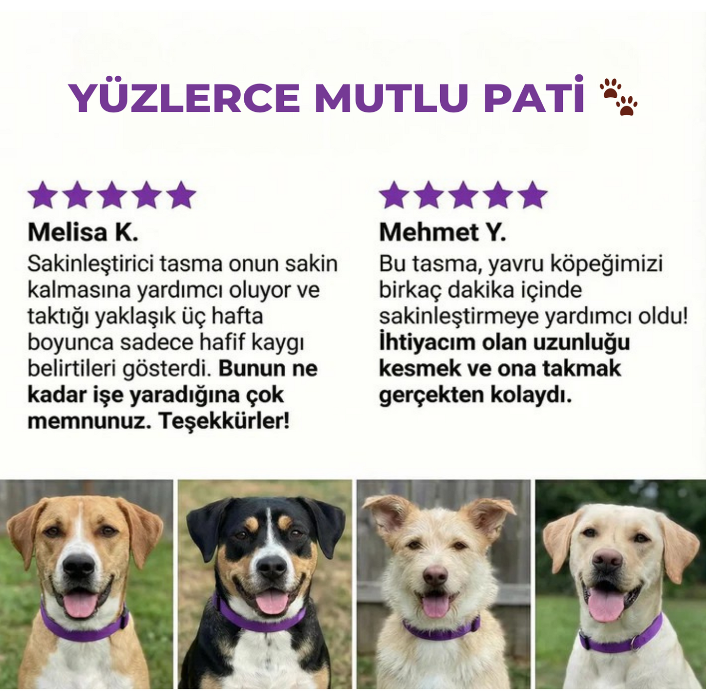 TEKNIXY™ Sakinleştirici Feromon Tasma