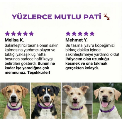 TEKNIXY™ Sakinleştirici Feromon Tasma